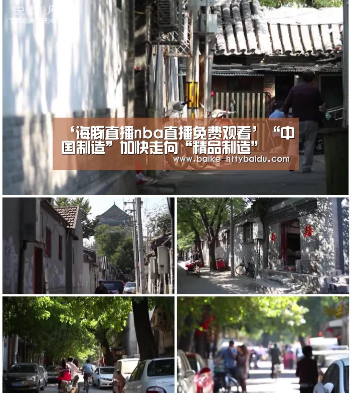 海豚直播体育