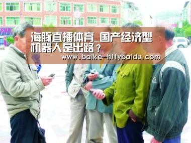 海豚直播体育_国产经济型机器人是出路?(图1) 海豚直播app最新版nba