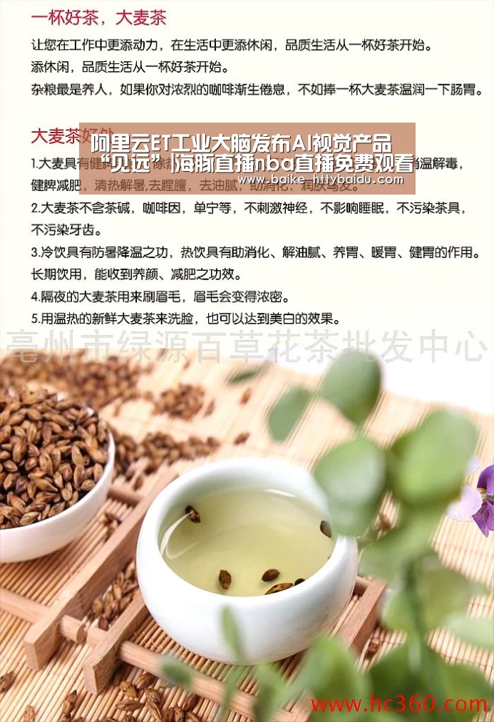 阿里云ET工业大脑发布AI视觉产品“见远”|海豚直播nba直播免费观看(图1) 海豚直播体育
