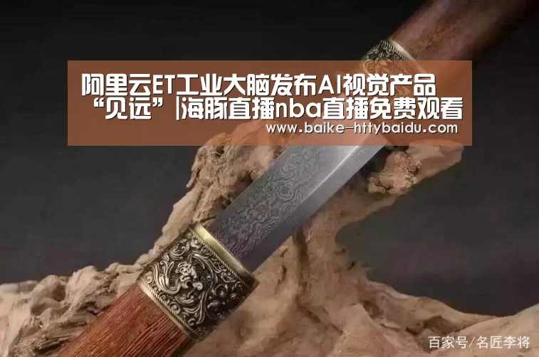 阿里云ET工业大脑发布AI视觉产品“见远”|海豚直播nba直播免费观看(图4) 海豚直播体育