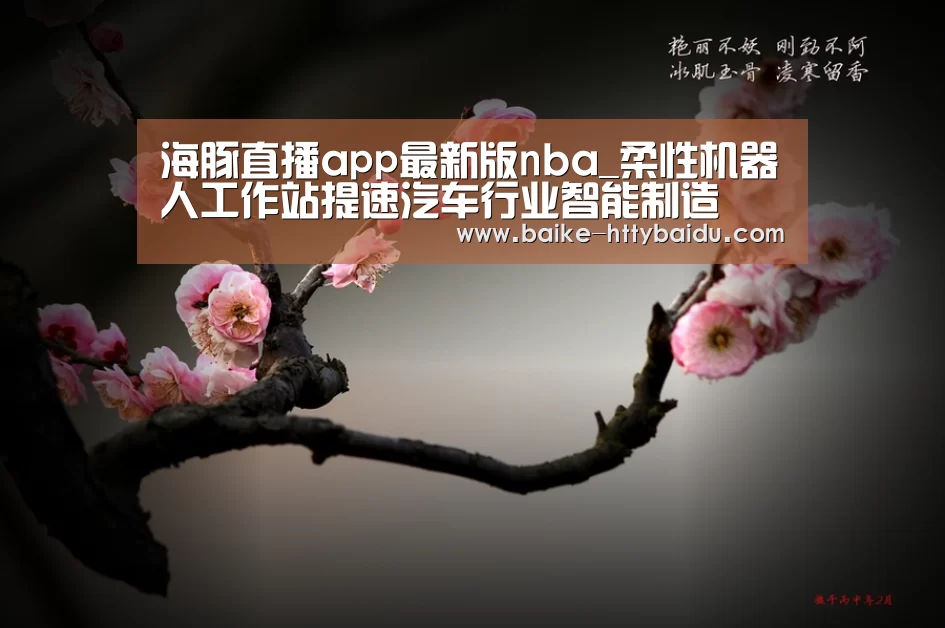 海豚直播app最新版nba_柔性机器人工作站提速汽车行业智能制造